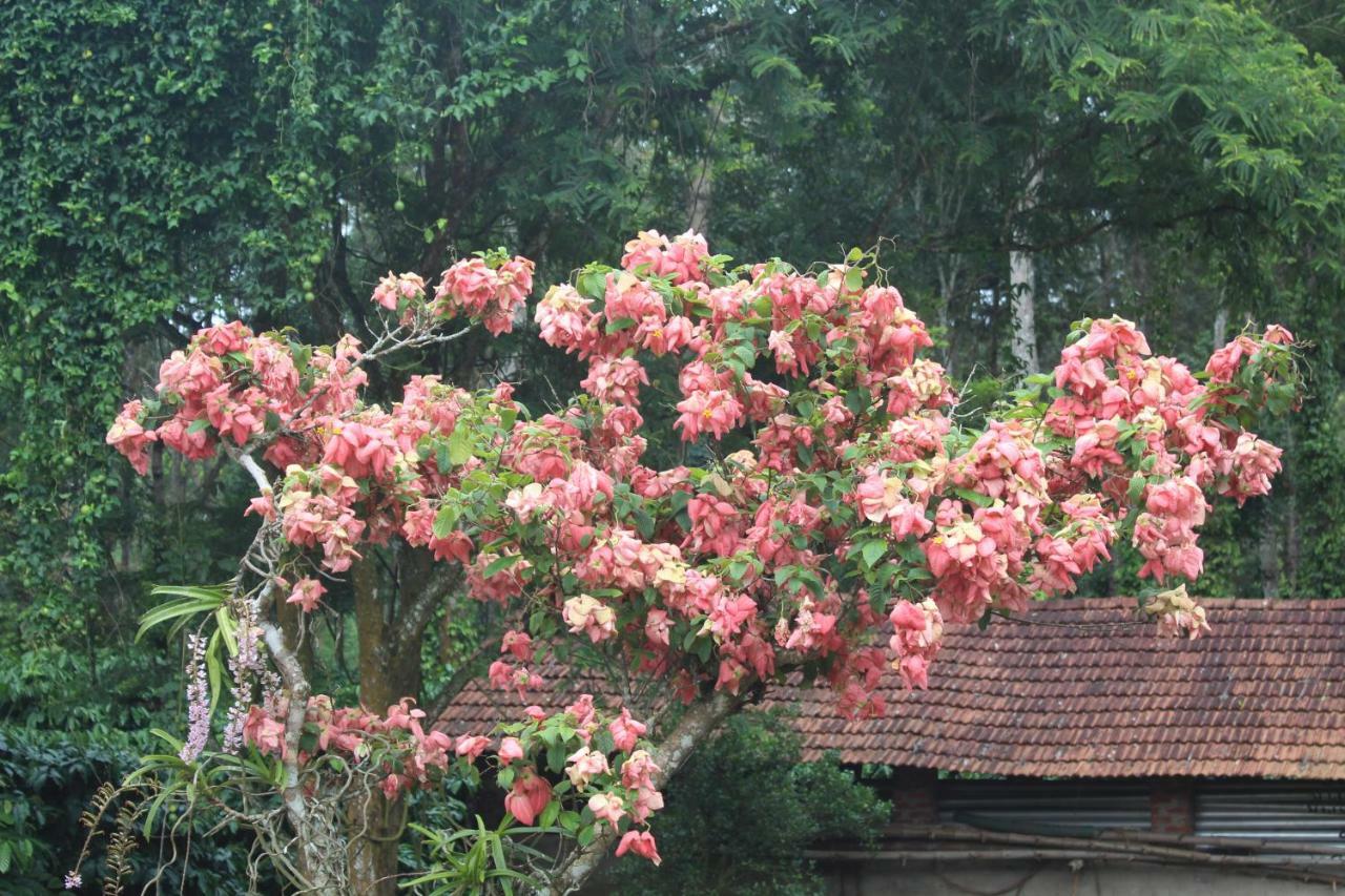 Whistling Woods Farm Stay Kushālnagar Exterior photo